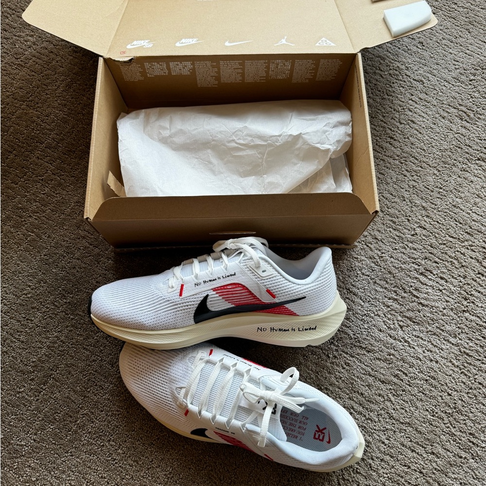Nike Pegasus 40 "Eliud Kipchoge" Size 10.5 Brand New
